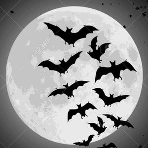 Meet your Posher, Chanelle